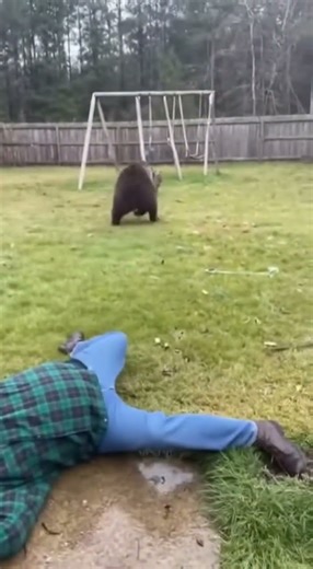 Feline Savior: The Cat Who Became a Legend