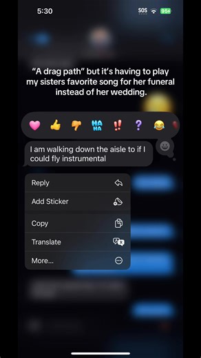 Oh how I’ll miss my sissy forever.🤍 #dragpath #loss #fyp #sister #onedirection
