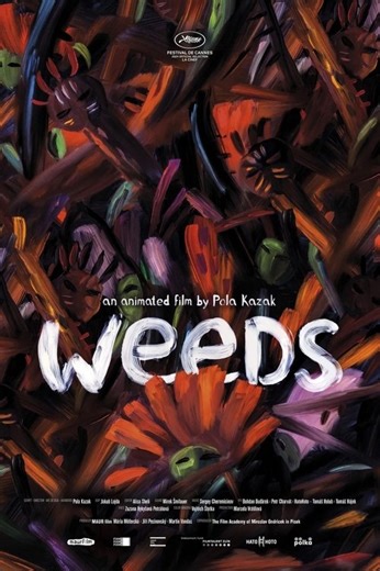Stream Weeds (2024): Find it on Netflix, Prime Video, Hulu & more