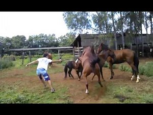 JACIZIM PASSANDO APERTO COM CAVALO