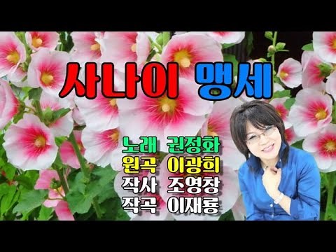 사나이 맹세 / 권정화 가사포함