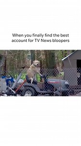 Hello ladies, check out my mower. I get about 0.5 miles per gallon on this hog. 🌱 If you love TV News bloopers like we do, follow our account @newsfumble #tvnews #newsbloopers #newsfail #fail #blooper | News Fumble