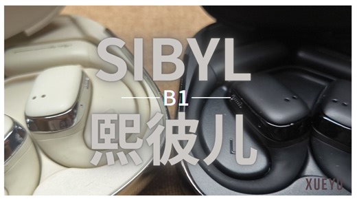 开放式 降噪？超级大合体！Sibyl B1