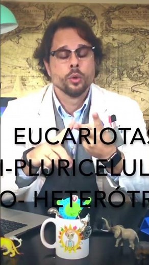 What are the basic characteristics of the Protista Kingdom? This content will help you...