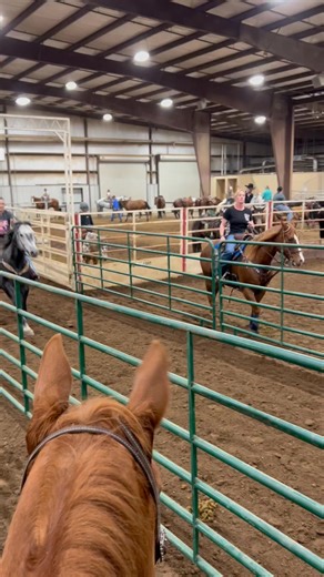 1.3K views · 47 reactions | 17 seconds!!!!!!! No knocked barrels!!!!! Lainie and I manifested that ❤️❤️ | Taylor Thompson | Facebook