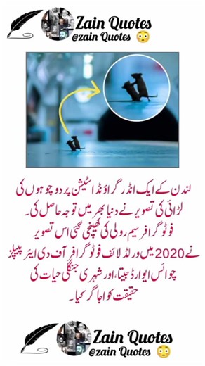 4Most powerful Quotes that will inspire you & change your life