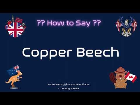 🌳 🍂 How to Pronounce Copper Beech? (CORRECTLY) | Pronunciation Planet