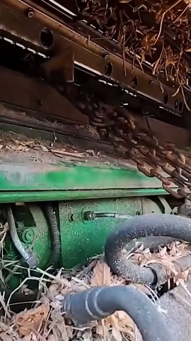 Harvest Halted: What Happens When Combines Hit Digger Shanks