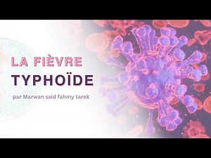Fièvre typhoïde : le guide complet pour comprendre et agir.