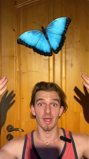 Do you know these compund nouns english fyp foryoupage #learnenglish #learnvocab #englishvocab