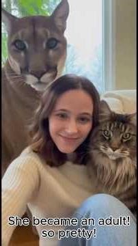 Unforgettable Love: The Most Emotional Lion Reunion Ever! 🦁❤️#LionReunion #AnimalLove #Heartwarming