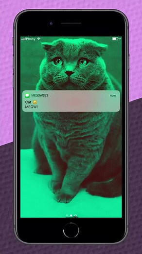 Phony Texts on TikTok