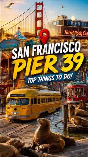 San Francisco Pier 39 is CRAZY 🔥 California 🇺🇸 #shorts #travel