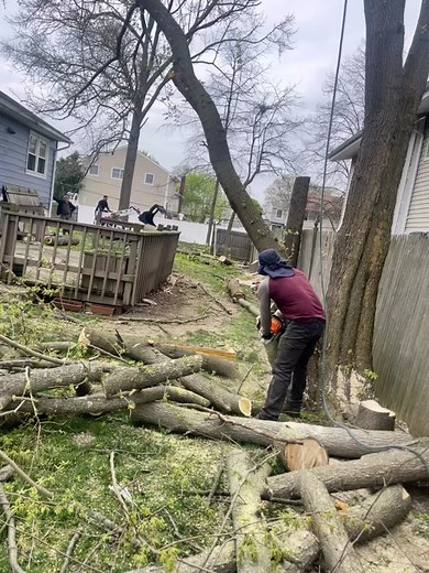 Ariel Gonzalez (@arielgonzales3505)’s videos with sonido original - Ariel Gonzalez