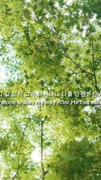 주가 보이신 생명의 길 The path of life the Lord has shown by Esther David Yoon Everpraise Ministries w/Lyrics