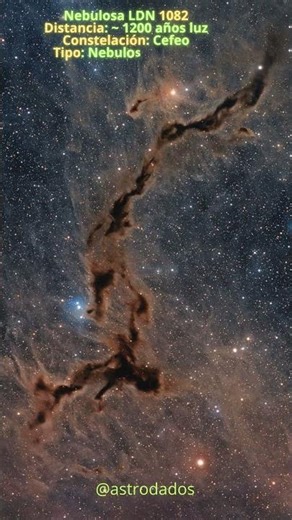 LBN 1082 #short #nebulosa #LBN1082 #astronomia #universo