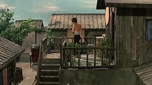 The New Shaolin Boxes (1976).mp4