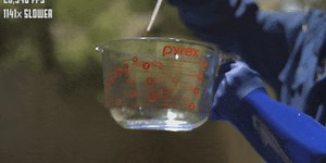 Slo-Mo Footage Shows the Lightning Speed of a Glass Explosion