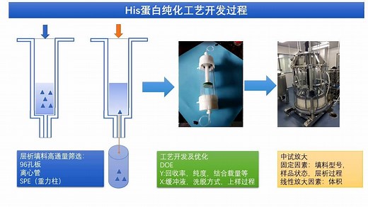His标签蛋白纯化工艺解决方案