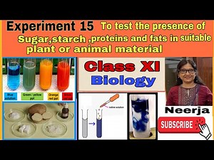 To test sugar,starch,proteins,fats in suitable plant or animal material/ Class 11/ expt. 15/ Neerja