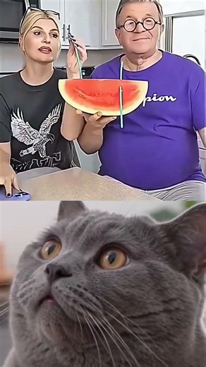 1000th Episode Milestone! Watch the funniest cat meme dance ever with the iconic 'Tsamina Mina
