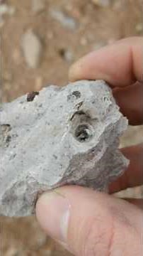 Garnet Hunting near Wikieup Arizona