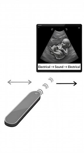 How Ultrasound Probe Works | Ultrasound Transducer Physics in 1min | Electrical → Sound → Electrical