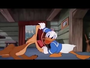 Donald Duck And The Lion | Kids Cartoon From 90s