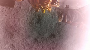 74K views · 1.2K reactions | Shortly after landing, #BlueGhost...