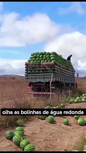 26 de janeiro de 2026