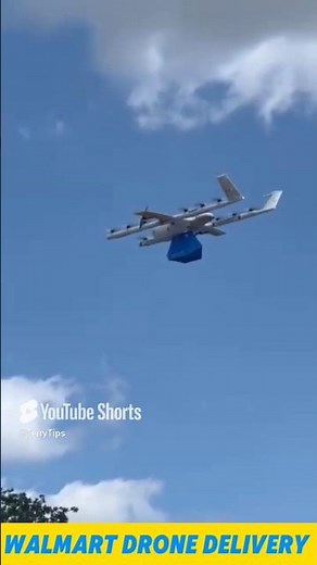 New Walmart Delivery Flying Drones