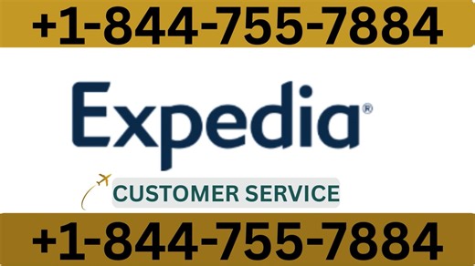 Expedia® Customer Service: Your All-in-One {24/7 Live Person} Support and Travel Resource Guide