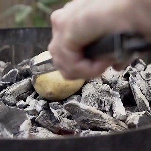 3.7K views · 31 reactions | Have you ever heard about Roasted Mickey?...