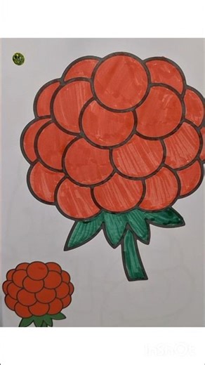 Ripe Raspberry #raspberry, #berry, #red raspberry, #drawing,