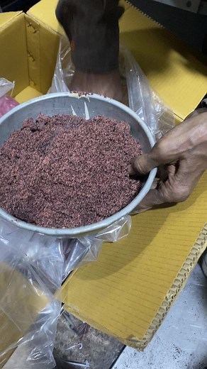 Chocolate powder grinding machine.Factory 3 (Unit-3) #137, G.N.T. MARKET DHAR ROAD, INDORE-452002 | Punjab Engineering Corporation