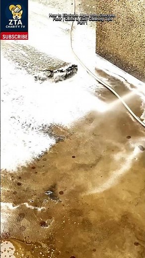 How to Eliminate Algae from Concrete Floor | Quick & Easy Cleaning Tips