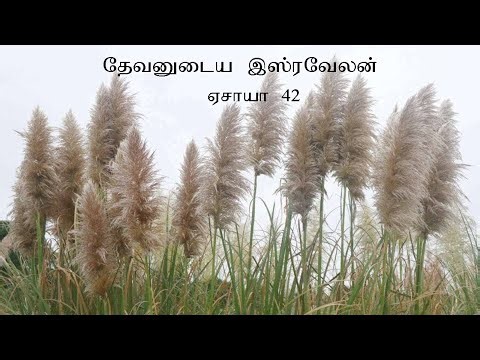 Isaiah 42 Explained | ஏசாயா 42 | The Lord's Chosen Servant | Tamil Bible Study | Vimal Kumar.