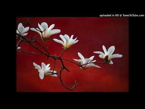 (free) protect sixbill type beat - "rolling stones"