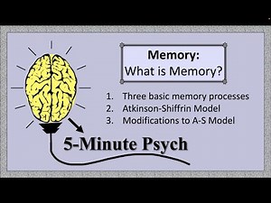 What is Memory