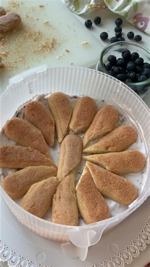 COLD YOGURT AND BLUEBERRY CAKE