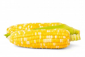 Can Dogs Eat Corn Cobs or Not? What Science Says