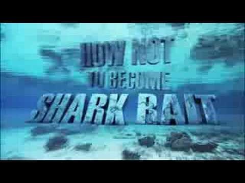 Shark Week 2008!