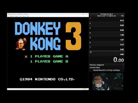 Donkey Kong 3 (NES) Game A 10 RNDS Time 3:39.88ms Speedrun