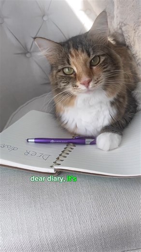 44K views · 1.9K reactions | No more sad cat diary entries! Our Platefulls are packed with savory meat and veggies drenched in gravy for cats with a refined palate. : @mika.and.mocha #NaturalBalancePetFood #NaturalBalance | Natural Balance Pet Foods | Facebook