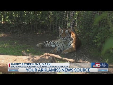 NBC 10 News Today: Zoo to You