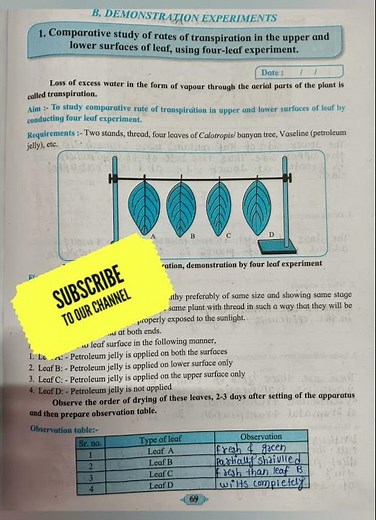 HSC biological practical no.1 comparative study of rates aap transcription in the upper and lower ..