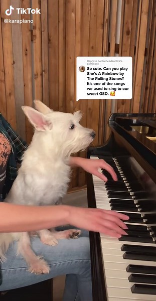 Learn to Play She's a Rainbow on Piano | Piano Tutorial