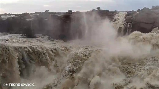 South African National Parks on Reels