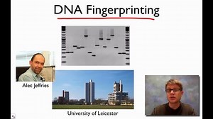 DNA fingerprinting and DNA profiling