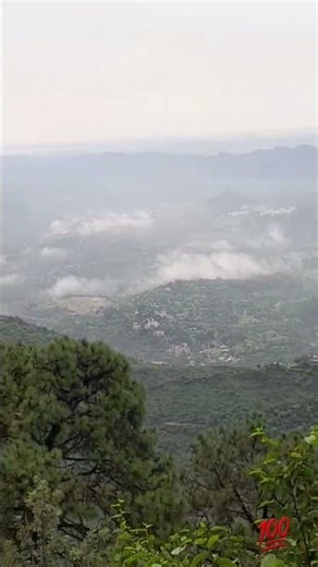 Phuloo ki malika hai 😇💯@soni Rajkumar 45 #shorts #shortvideo